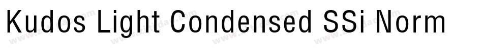 Kudos Light Condensed SSi Normal字体转换